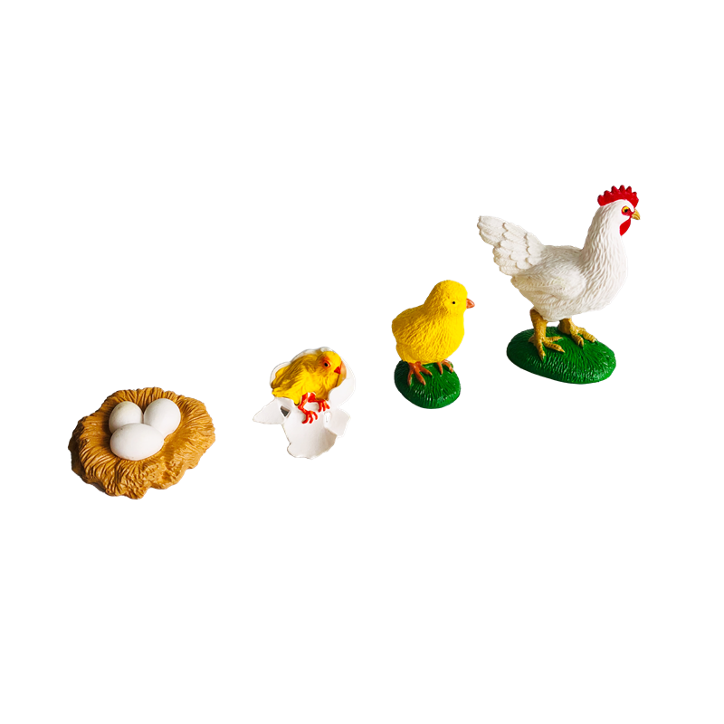 Life Cycle Animals Cards and M - đánh giá và giá Kids Toys Cycle