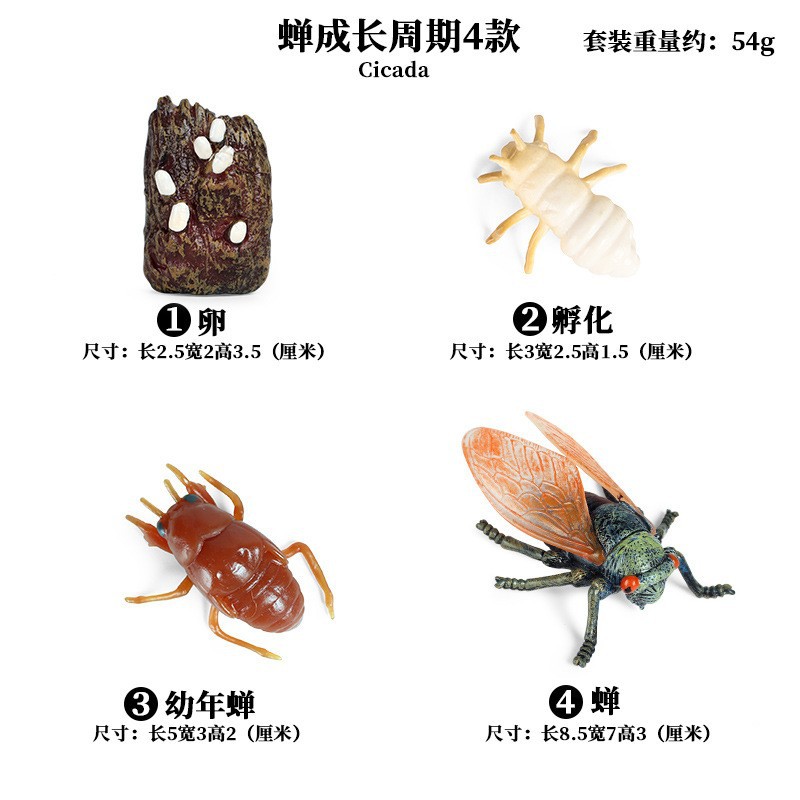 Life Growth Cycle Simulation I - đánh giá và giá Kids Toys Cycle