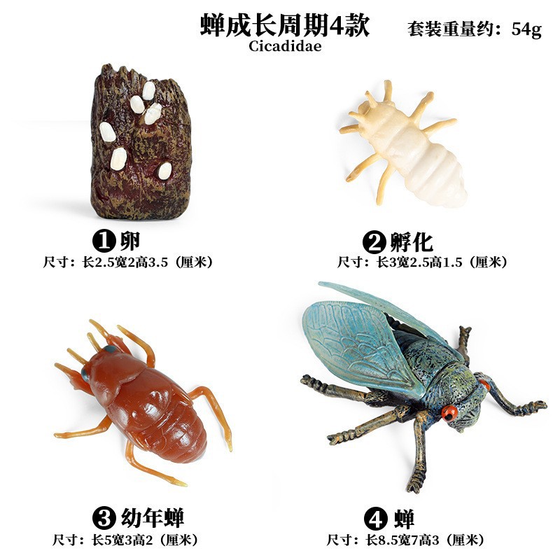 Life Growth Cycle Simulation I - đánh giá và giá Kids Toys Cycle